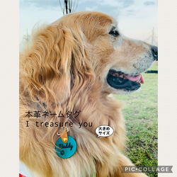 大型犬サイズの本革ネームタグ9カラー・12フォントのオーダーメイド✿︎I treasure you✿︎ 1枚目の画像