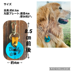 大型犬サイズの本革ネームタグ9カラー・12フォントのオーダーメイド✿︎I treasure you✿︎ 8枚目の画像