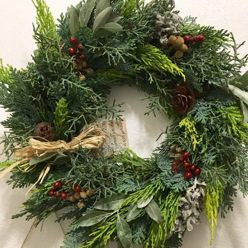 送料無料 フレッシュコニファー クリスマスリース 11月5日撮影 リース