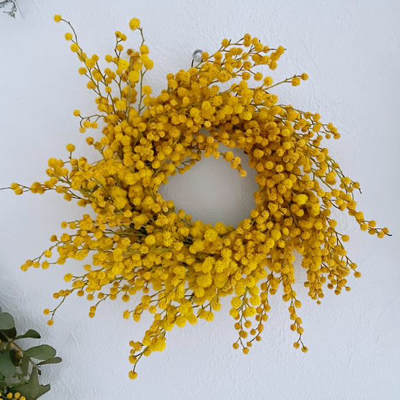 贅沢ミモザだけのリース ふわふわ可愛い リース ドライフラワー工房 華