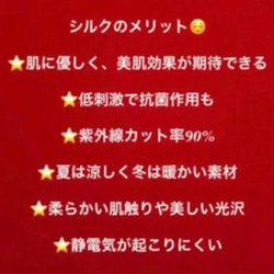 ❁⃘*数量限定＊感謝価格中❁⃘* 164 不織布マスクカバー2枚セット　お色違いホワイト＆藤色　☆肌面シルク 6枚目の画像