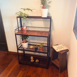 ボタニカルシェルフ 植物棚 アイアンシェルフ 家具 棚 観葉植物 ボタニカルシェルフ 植物棚 アイアンシェルフ 家具 棚 観葉植物