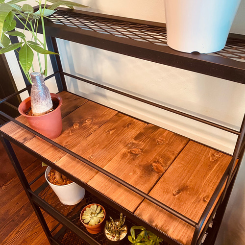 ボタニカルシェルフ 植物棚 アイアンシェルフ 家具 棚 観葉植物 ボタニカルシェルフ 植物棚 アイアンシェルフ 家具 棚 観葉植物