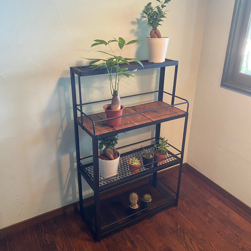 ボタニカルシェルフ 植物棚 アイアンシェルフ 家具 棚 観葉植物