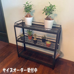 ボタニカルシェルフ w800 植物棚 アイアンシェルフ 3段 家具 観葉植物