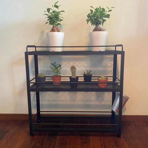 ボタニカルシェルフ w800 植物棚 アイアンシェルフ 3段 家具 ボタニカルシェルフ w800 植物棚 アイアンシェルフ 3段 家具
