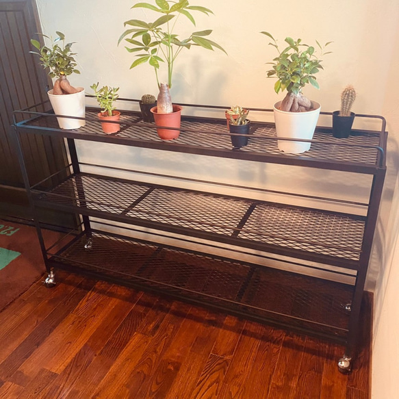 ボタニカルラック（観葉植物&多肉植物用） タモ材使用 ボタニカルラック（観葉植物&多肉植物用） タモ材使用