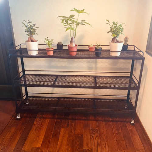 ボタニカルシェルフ ワイド 植物棚 アイアンシェルフ 3段 家具 転落
