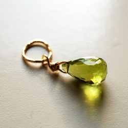 14kgf 護身符 魅力 橄欖石 Peridot Amulet Charm（14kgf） T0008 第1張的照片