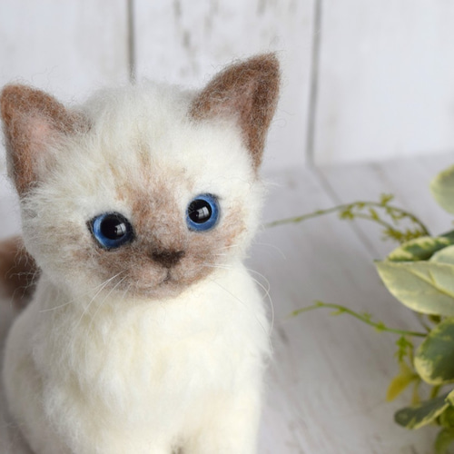 シャム猫の子猫 羊毛フェルト studio＊coup 通販 12040428