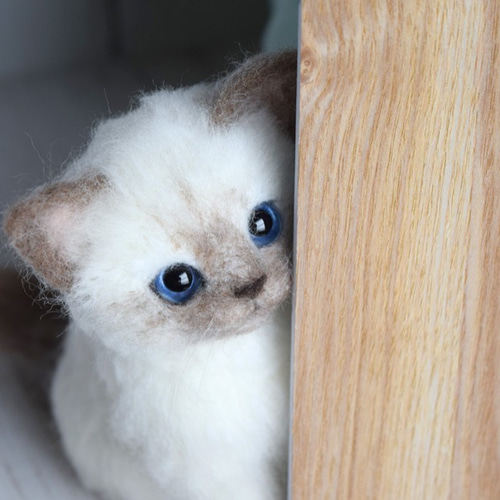 シャム猫の子猫 羊毛フェルト studio＊coup 通販 12040428