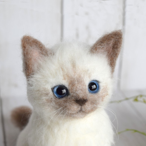 シャム猫の子猫 羊毛フェルト studio＊coup 通販 12040428｜Creema