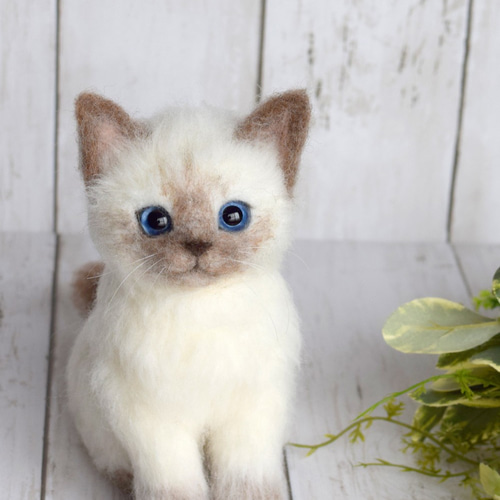 シャム猫の子猫 羊毛フェルト studio＊coup 通販 12040428