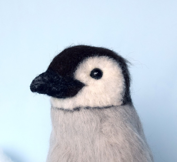 皇帝ペンギン（コウテイペンギン）の赤ちゃん 2枚目の画像