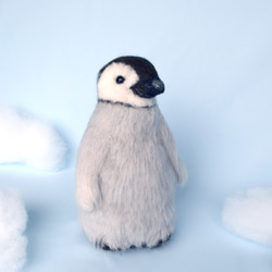 皇帝ペンギン（コウテイペンギン）の赤ちゃん 4枚目の画像