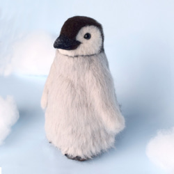 皇帝ペンギン（コウテイペンギン）の赤ちゃん 5枚目の画像