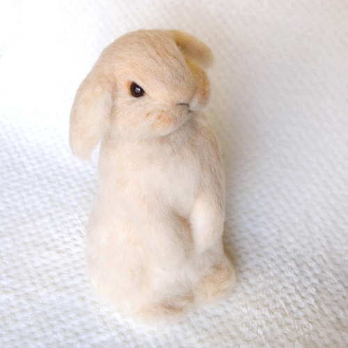 ホーランドロップイヤー（クリーム） 羊毛フェルト studio＊coup 通販