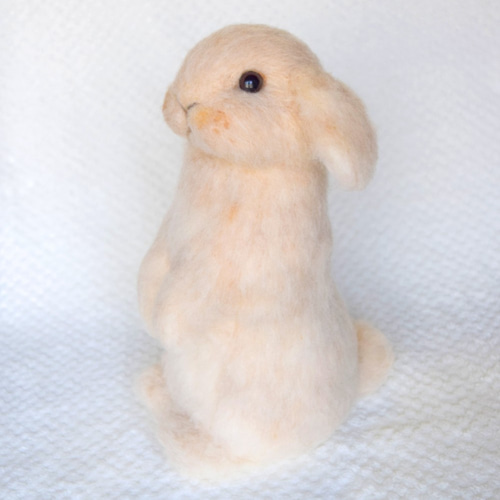 ホーランドロップイヤー（クリーム） 羊毛フェルト studio＊coup 通販