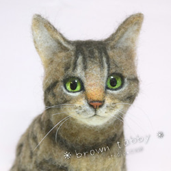 シャム猫の子猫 羊毛フェルト studio*coup 通販 12040428 シャム猫の子猫 羊毛フェルト studio*coup 通販 12040428