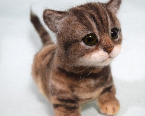 ハンドメイド　羊毛フェルト　メイクーン　ブラウンタビー 子猫（ブラウンタビー） 羊毛フェルト studio＊coup 通販