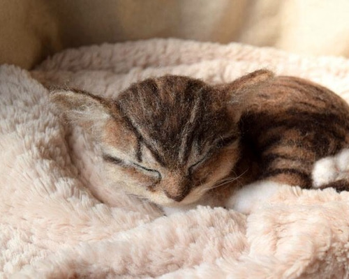 眠る子猫（ブラウンタビー） 羊毛フェルト studio＊coup 通販 3926803