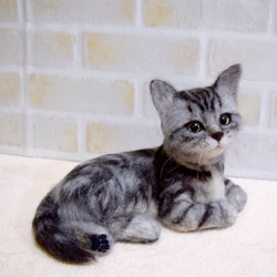 シャム猫の子猫 羊毛フェルト studio＊coup 通販 12040428