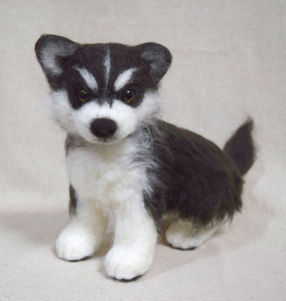 シベリアンハスキーの子犬 羊毛フェルト studio＊coup 通販 904559