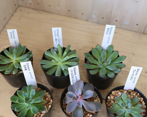 0_94a91c0a7c229586ca9f82cb33de