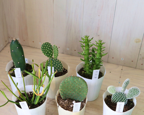 0_dc0735e96fef93afedc85887de90