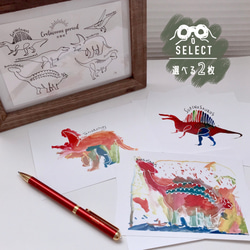 恐竜イラストポストカード 6枚 オーストラリア ポスト DINOSAUR