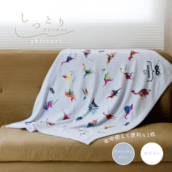 通年〉恐竜のしっとりブランケット 名入れ（AT022-21） 雑貨・その他