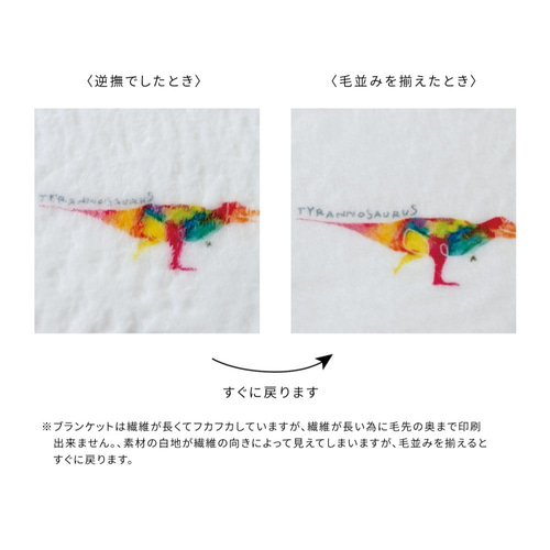 通年〉恐竜のしっとりブランケット 名入れ（AT022-21） 雑貨・その他