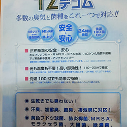 トゥシューズが可愛い♡子ども用ポケット付きマスク♪裏地ダブルガーゼ 【受注販売】 10枚目の画像