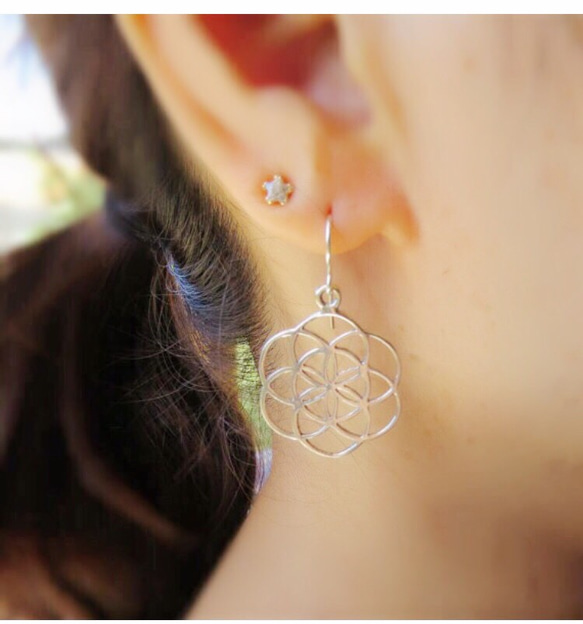 silver seed of life earrings シルバー命の木の実ピアス 4枚目の画像