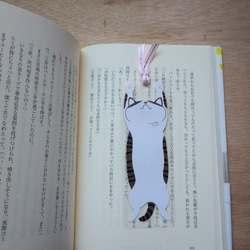 ＜両面イラスト＞読書タイムのお供に♪ラミネートしおり【サバトラ猫・お昼寝中】 4枚目の画像