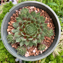 1_26f00cb900e9f32bbe5344d2a3d0