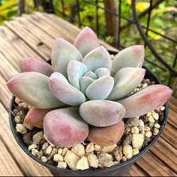 1_5cd0bd401d9ccc00ca137b5f3340