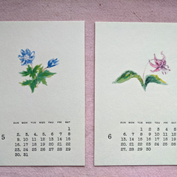 2021年カレンダー【山野草イラスト＆活版印刷文字】はがきサイズ 7枚目の画像