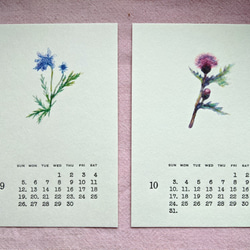 2021年カレンダー【山野草イラスト＆活版印刷文字】はがきサイズ 9枚目の画像