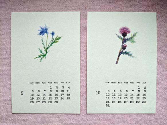 2021年カレンダー【山野草イラスト＆活版印刷文字】はがきサイズ 9枚目の画像