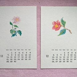 2021年カレンダー【山野草イラスト＆活版印刷文字】はがきサイズ 10枚目の画像