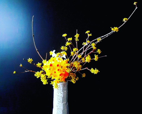 花瓶 各務 周海 志野 共箱 梅花皮 花器