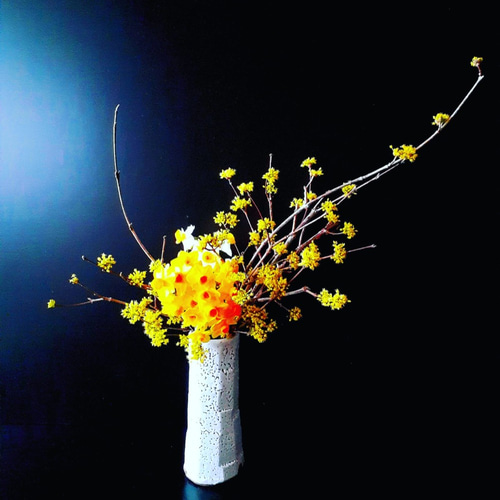 花入 ・ 梅華皮 癒し 一輪挿し・花瓶・花器 kunisukegama 國輔窯 通販