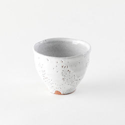 フリーカップ&お皿　～梅華皮～ 5枚目の画像