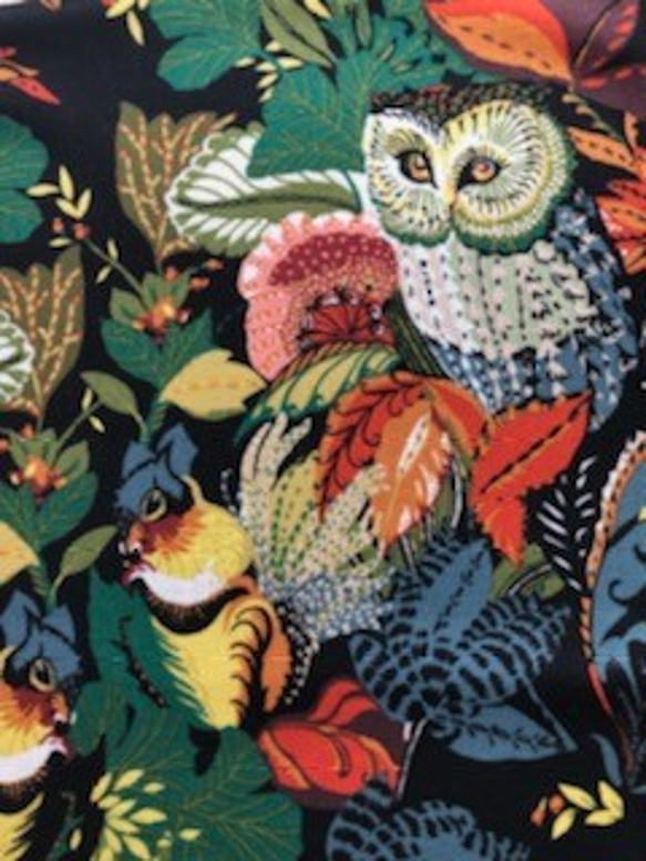 アレクサンダー・ヘンリー　112×90"harvest owl"ブラック 3枚目の画像