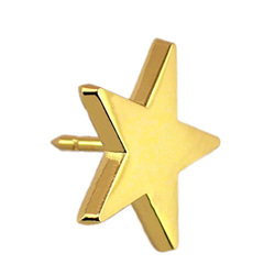 ピンズ 金色に光る スター 星 ピンバッジ ゴールド 五芒星 ピンバッチ デラックス薄型キャッチ付 2枚目の画像