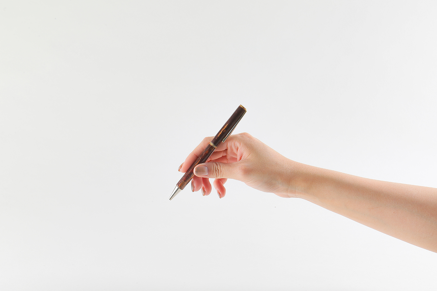 伝統工芸品樺細工　ボールペン