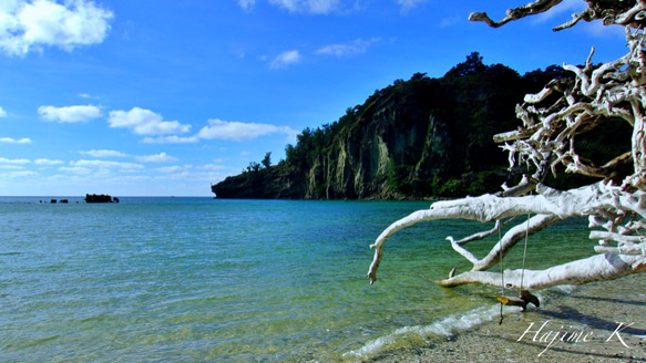 世界自然遺産小笠原の島からお届けするマーメイドのピアス（マリンスタイル　木とレジン） 8枚目の画像