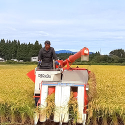 令和3年産 新米20kg お米をおかずに食べるお米！秋田県産あきたこまち 3枚目の画像