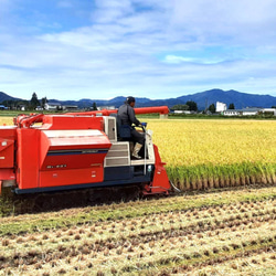 令和2年産 新米2kg お米をおかずに食べるお米！ 秋田県産あきたこまち 4枚目の画像